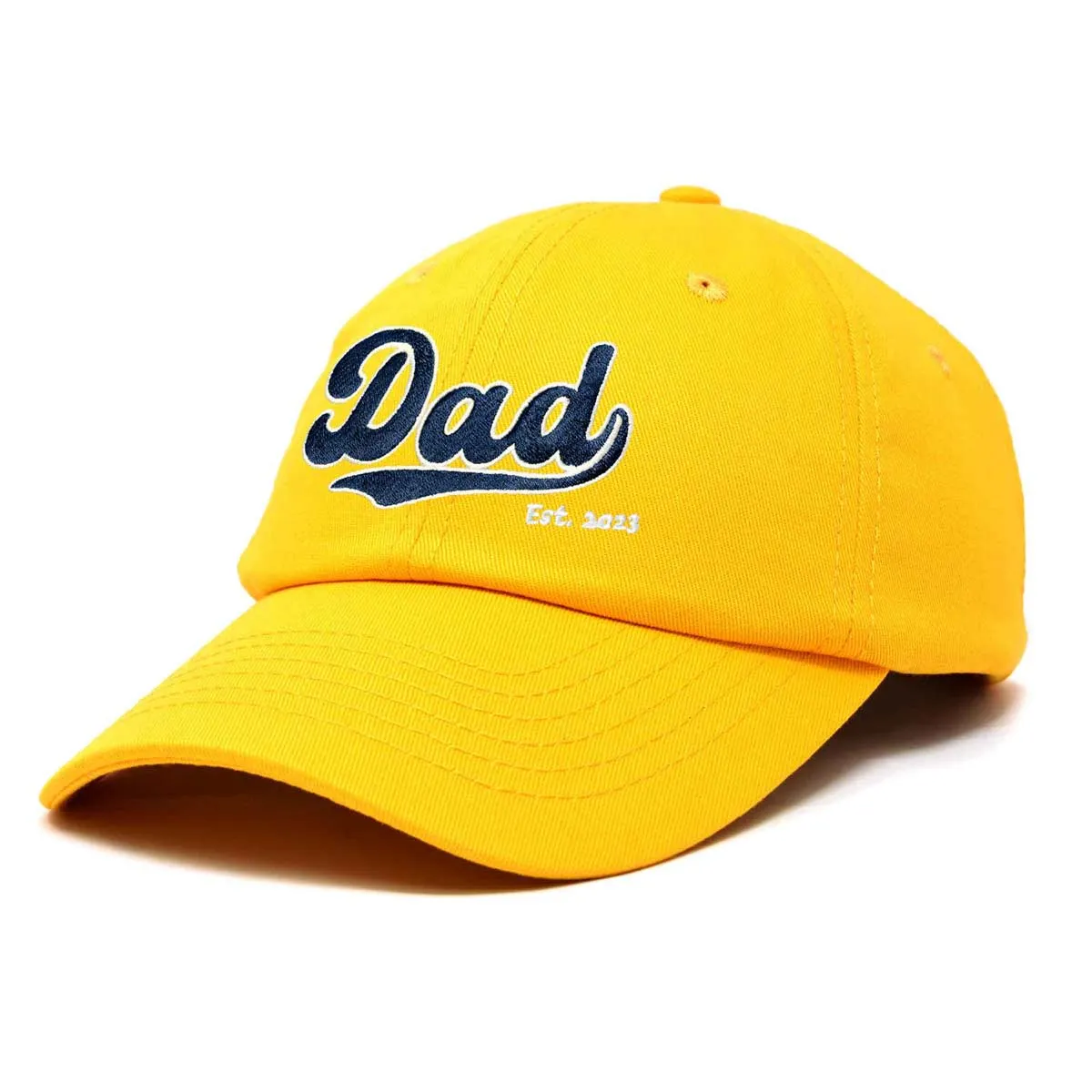 Dalix Dad Established Cap