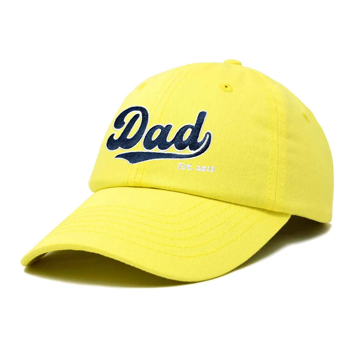 Dalix Dad Established Cap