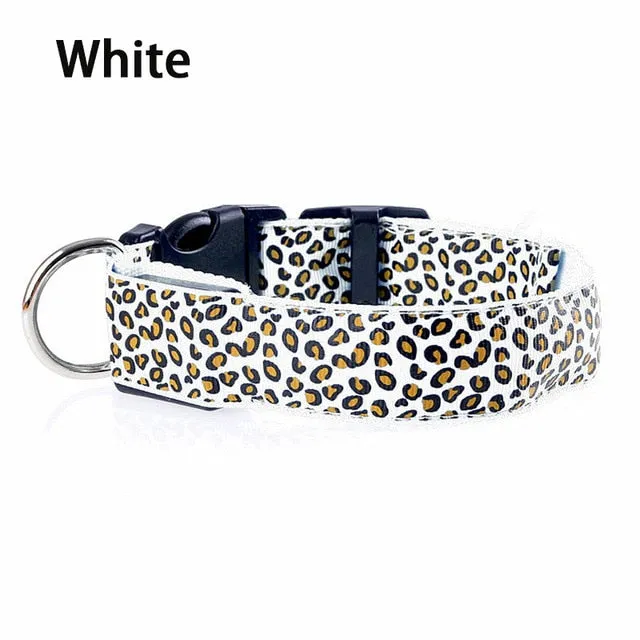 Leopard LED Glow Collar