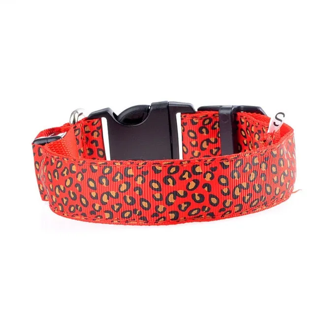 Leopard LED Glow Collar