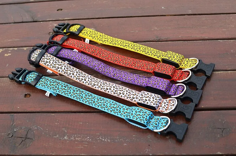 Leopard LED Glow Collar