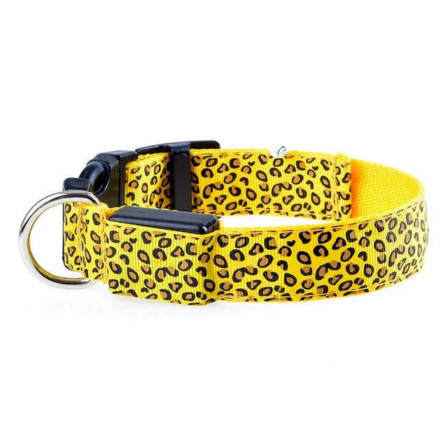 Leopard LED Glow Collar