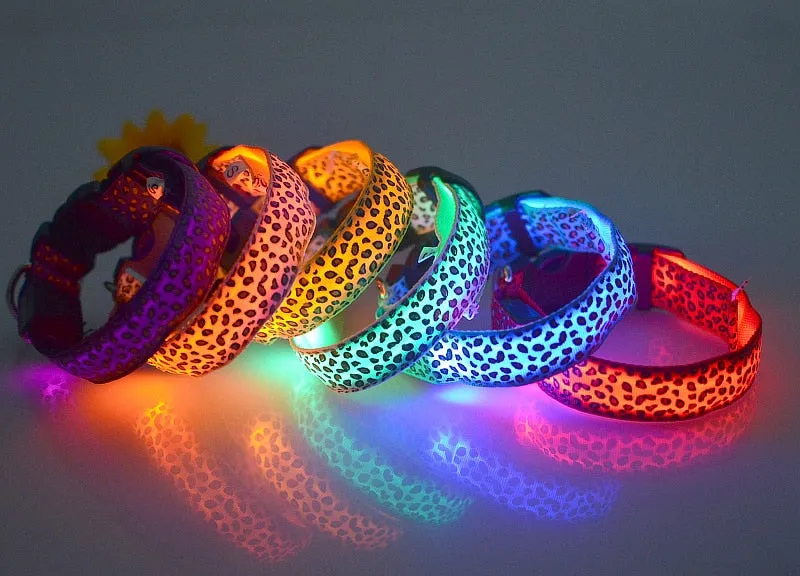 Leopard LED Glow Collar