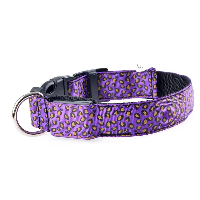 Leopard LED Glow Collar