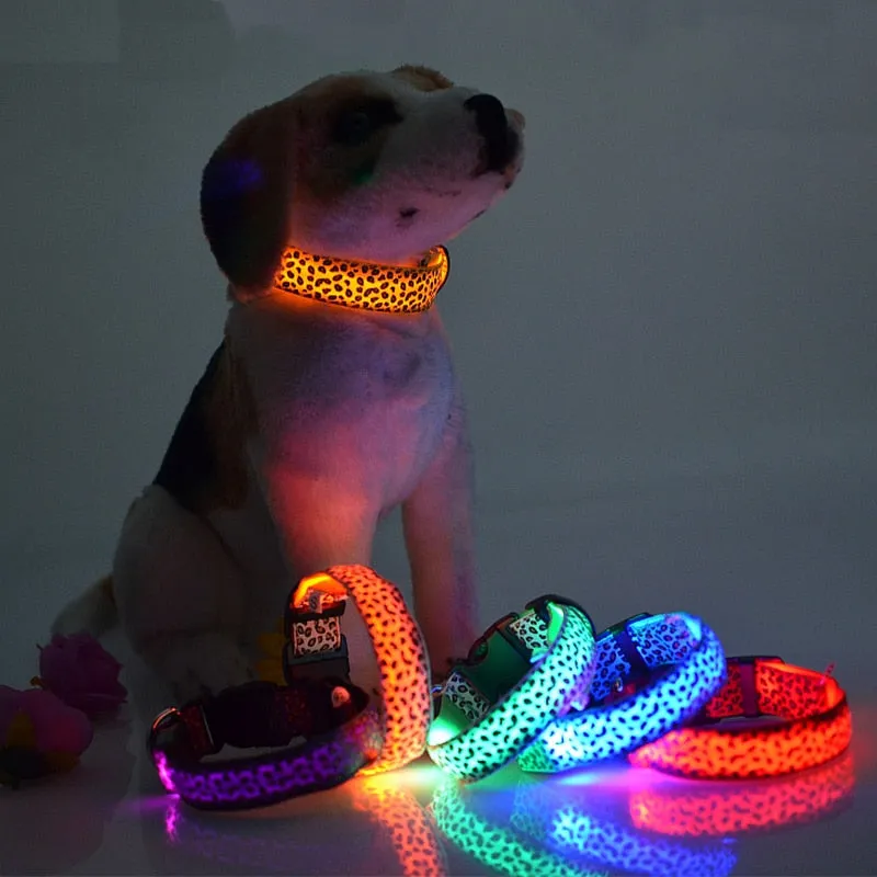 Leopard LED Glow Collar