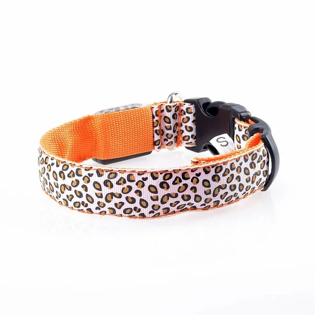 Leopard LED Glow Collar