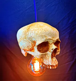 Skull Pendant Light