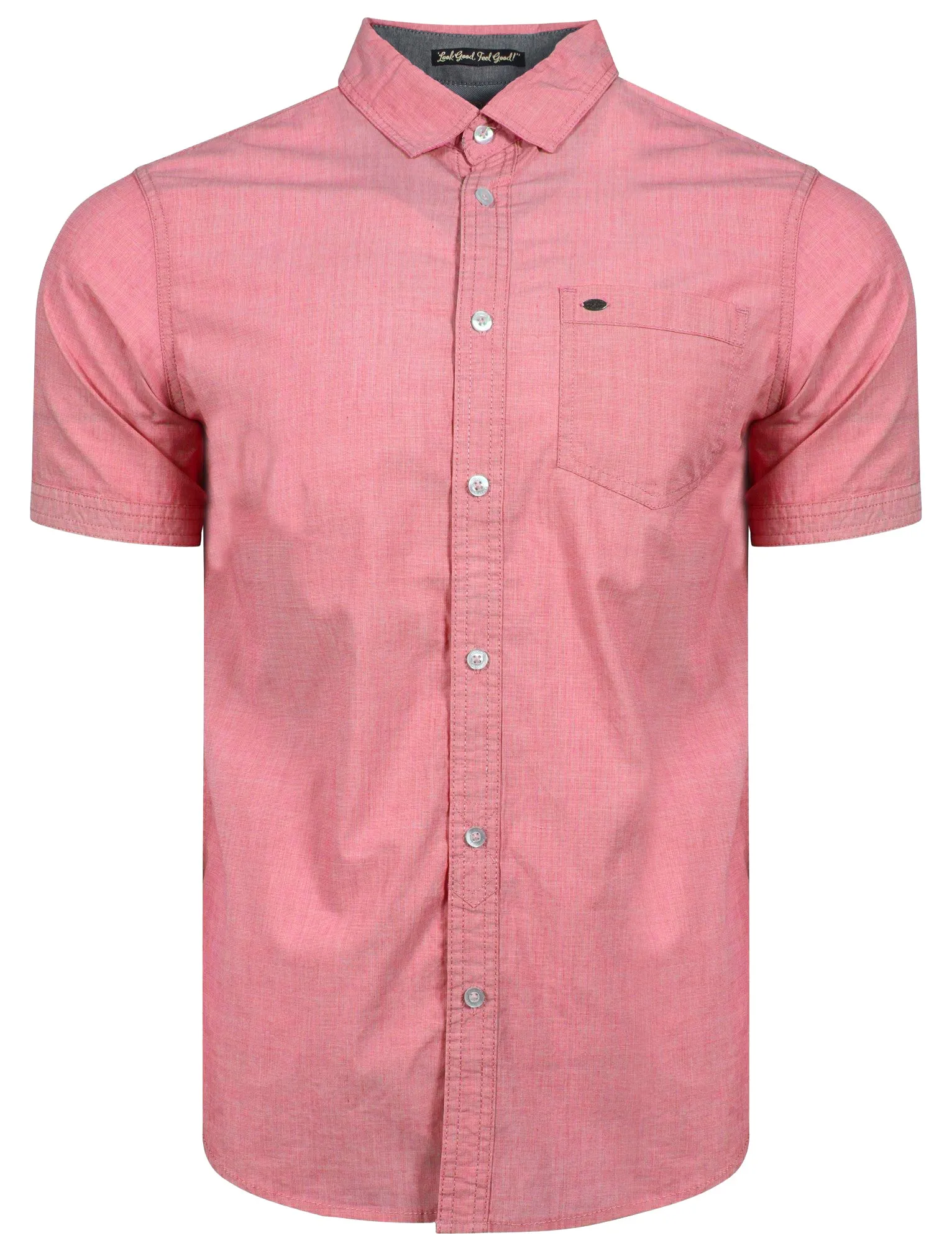 Valencia Short Sleeve Cotton Shirt in Peach - Tokyo Laundry