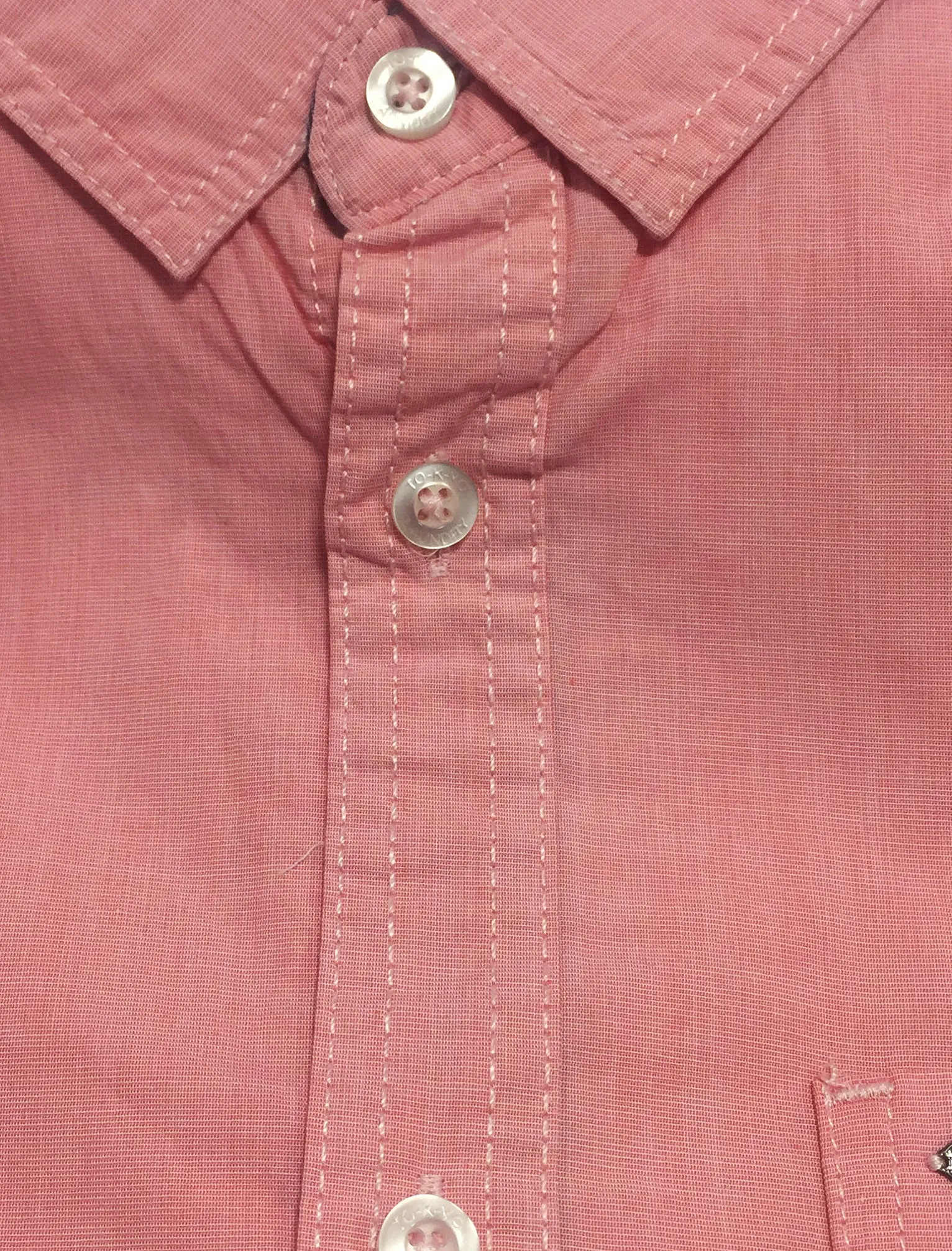 Valencia Short Sleeve Cotton Shirt in Peach - Tokyo Laundry